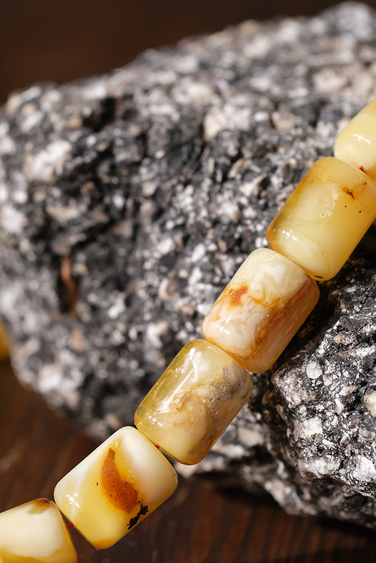 DSCF8500 kopya