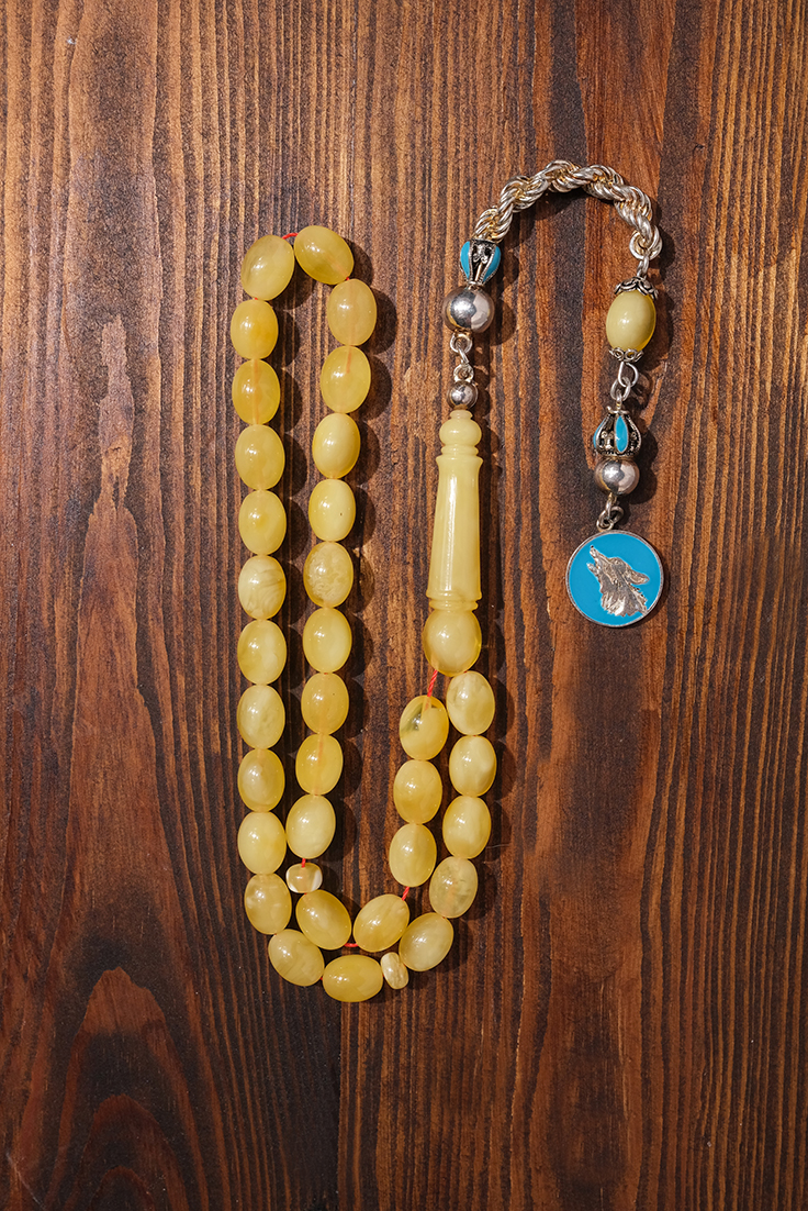 DSCF8242 kopya