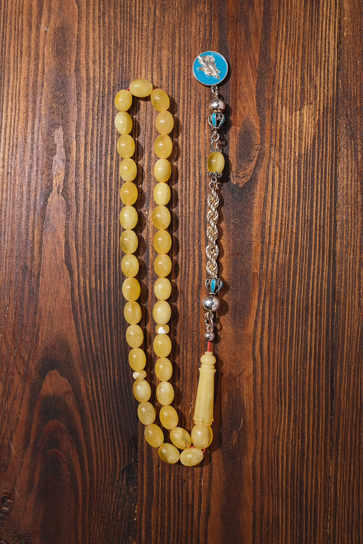 DSCF8245 kopya